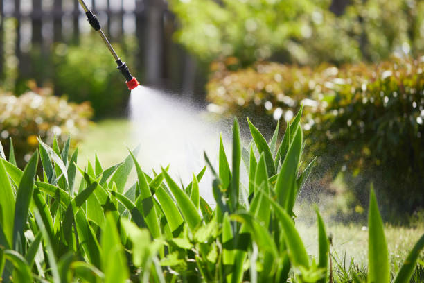 Tamper-Resistant Bait Stations for Rodents in Keene