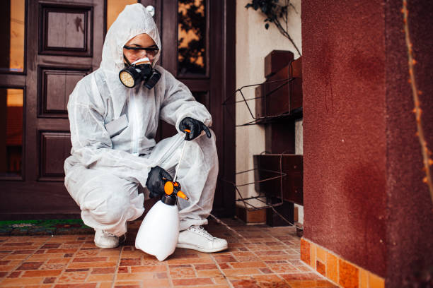 Attic and Crawl Space Rodent Treatment in Keene