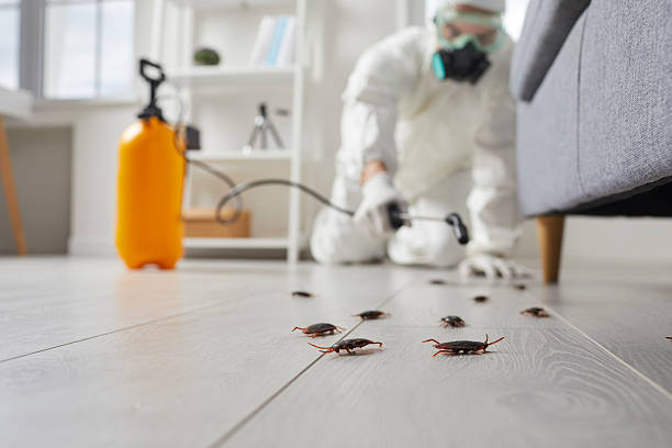 Commercial Rodent Management in Keene